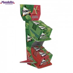 Expositor Senses 24 Uds. (LOTE)